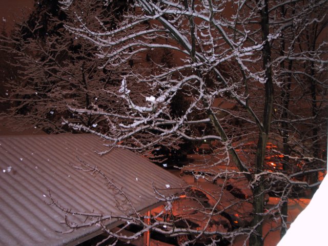 Winter in Redmond, seen from our balcony
(Click on the picture for the full-size version)