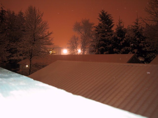 Winter in Redmond, seen from our balcony
(Click on the picture for the full-size version)