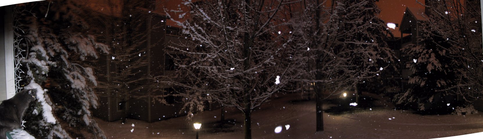 Winter in Redmond, seen from our balcony
(Click on the picture for the full-size version)