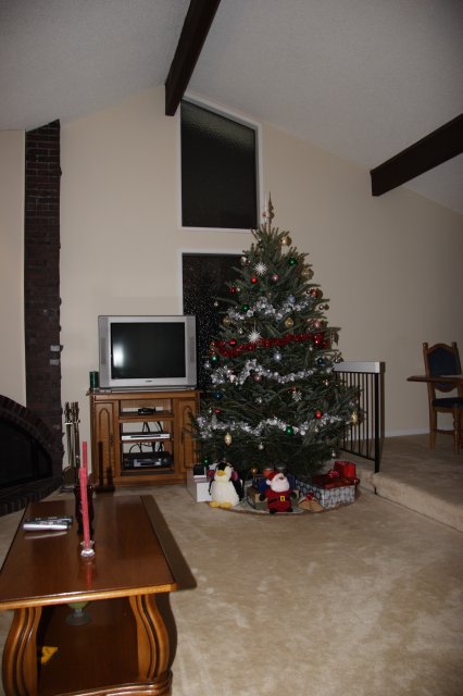 Our Christmas tree [IMG_7359.JPG]