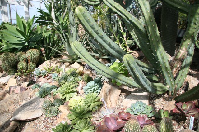 In Volontiers park
(Click on the picture for the full-size version)