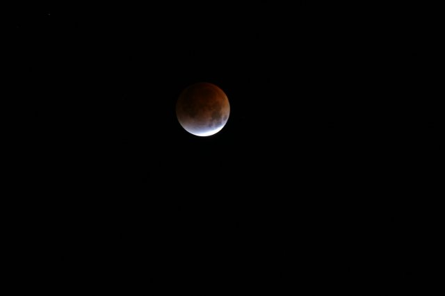 Lunar Eclipse, 8/28/2007
(Click on the picture for the full-size version)