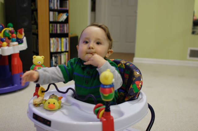 More fun in walker
(Click on the picture for the full-size version)