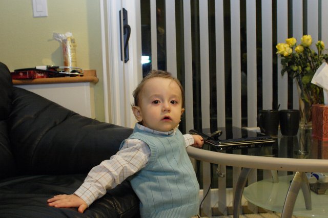 Vlad's 1st birthday
(Click on the picture for the full-size version)