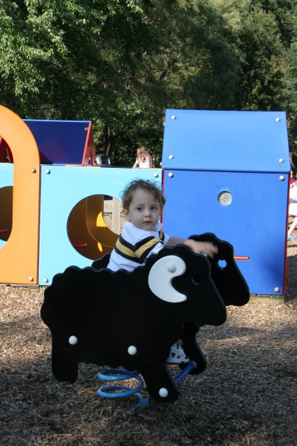 In Kelsey Creek Park
(Click on the picture for the full-size version)