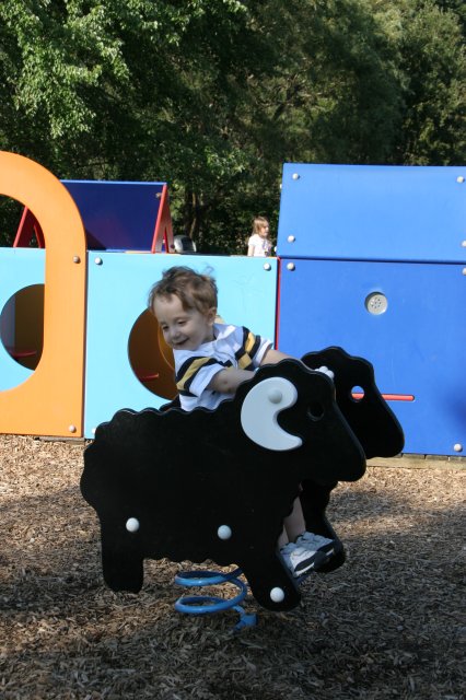 In Kelsey Creek Park
(Click on the picture for the full-size version)