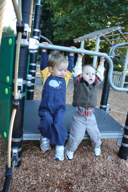 In Robinswood park
(Click on the picture for the full-size version)