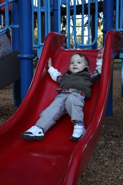 In Robinswood park
(Click on the picture for the full-size version)