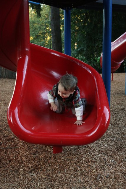 In Robinswood park
(Click on the picture for the full-size version)