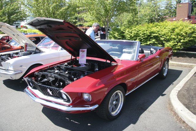 Strawberry festival, 06/26
(Click on the picture for the full-size version)