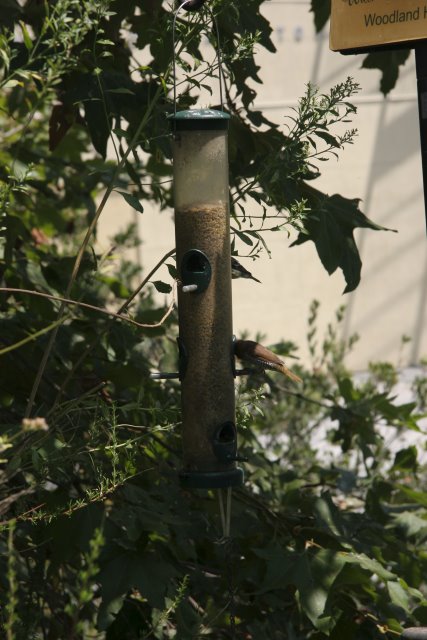 At Los Angeles Zoo
(Click on the picture for the full-size version)