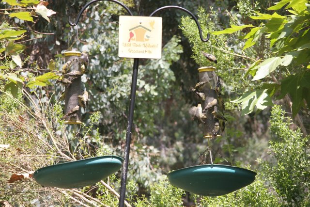 At Los Angeles Zoo
(Click on the picture for the full-size version)