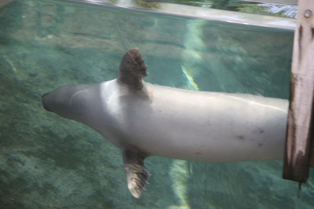 At Los Angeles Zoo
(Click on the picture for the full-size version)