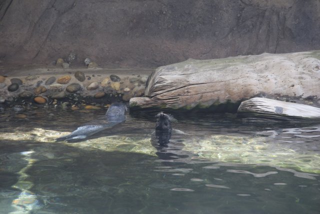 At Los Angeles Zoo
(Click on the picture for the full-size version)