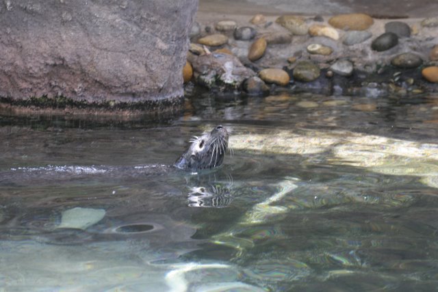 At Los Angeles Zoo
(Click on the picture for the full-size version)