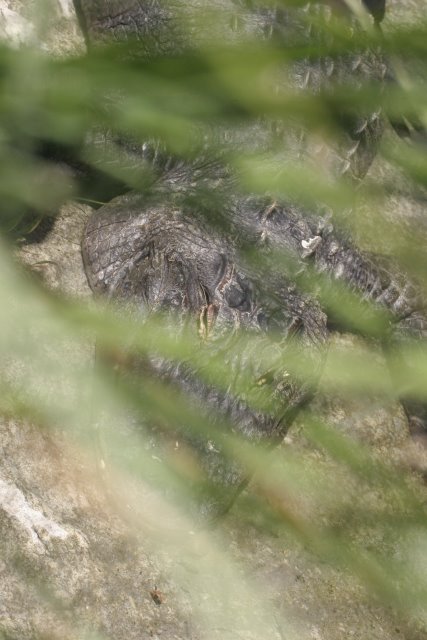 At Los Angeles Zoo
(Click on the picture for the full-size version)