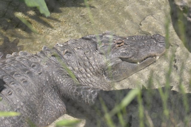 At Los Angeles Zoo
(Click on the picture for the full-size version)