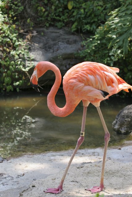 At Los Angeles Zoo
(Click on the picture for the full-size version)