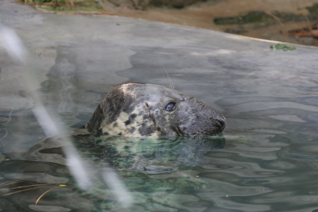 At Los Angeles Zoo
(Click on the picture for the full-size version)