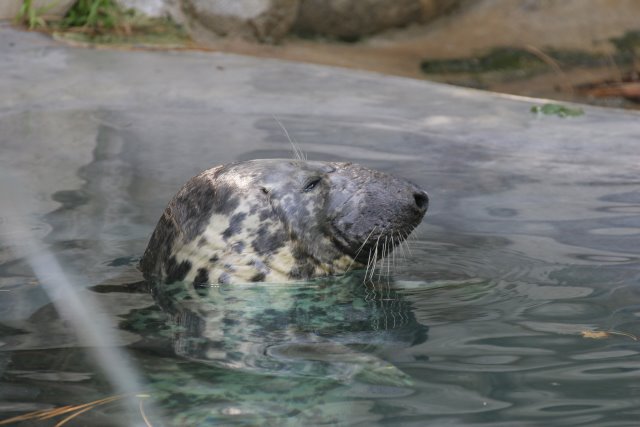 At Los Angeles Zoo
(Click on the picture for the full-size version)