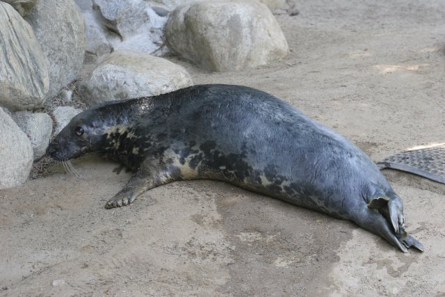 At Los Angeles Zoo
(Click on the picture for the full-size version)