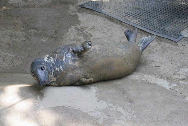 At Los Angeles Zoo
(Click on the picture for the full-size version)