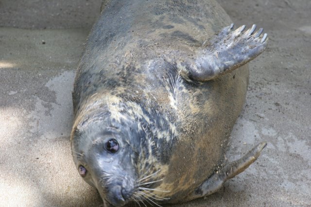 At Los Angeles Zoo
(Click on the picture for the full-size version)