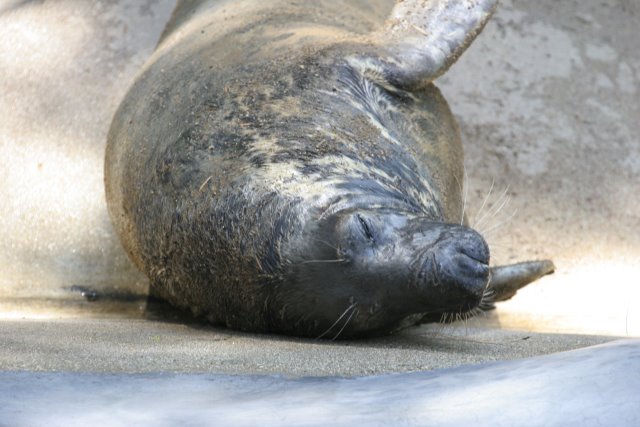 At Los Angeles Zoo
(Click on the picture for the full-size version)