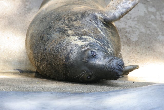 At Los Angeles Zoo
(Click on the picture for the full-size version)