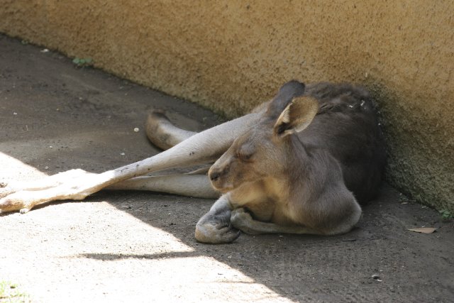 At Los Angeles Zoo
(Click on the picture for the full-size version)