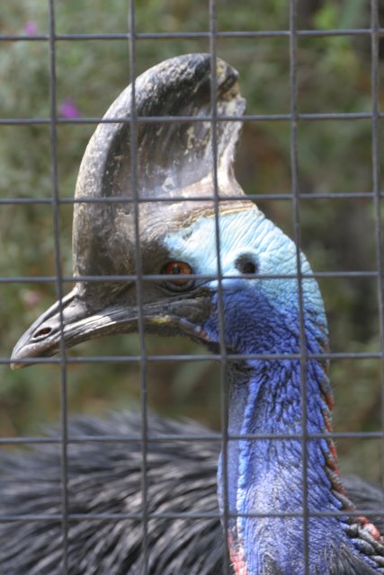 At Los Angeles Zoo
(Click on the picture for the full-size version)
