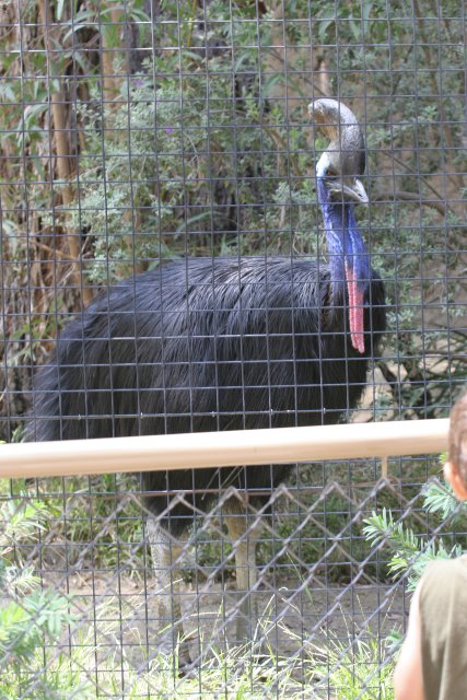 At Los Angeles Zoo
(Click on the picture for the full-size version)