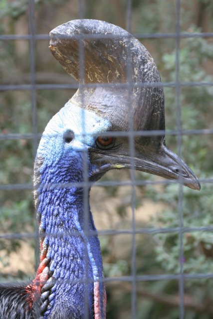 At Los Angeles Zoo
(Click on the picture for the full-size version)