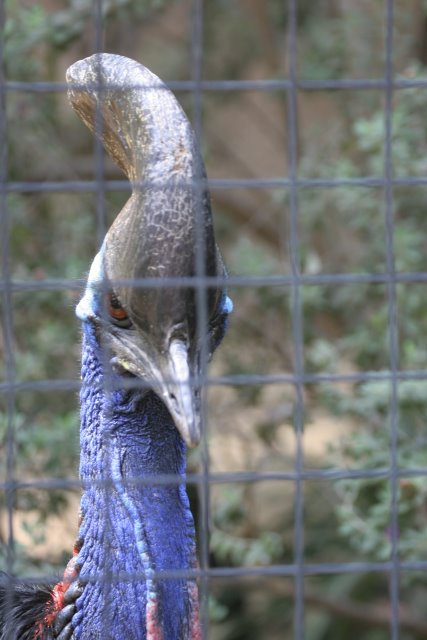 At Los Angeles Zoo
(Click on the picture for the full-size version)