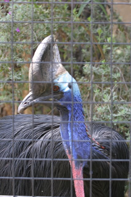 At Los Angeles Zoo
(Click on the picture for the full-size version)