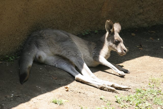 At Los Angeles Zoo
(Click on the picture for the full-size version)