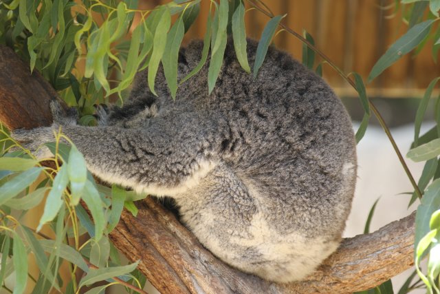 At Los Angeles Zoo
(Click on the picture for the full-size version)