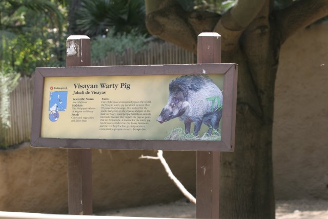 At Los Angeles Zoo
(Click on the picture for the full-size version)