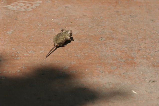 At Los Angeles Zoo
(Click on the picture for the full-size version)