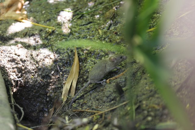 At Los Angeles Zoo
(Click on the picture for the full-size version)