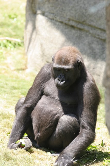 At Los Angeles Zoo
(Click on the picture for the full-size version)