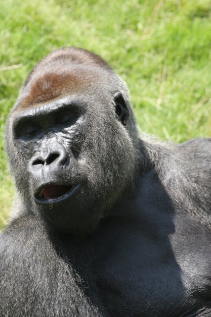 At Los Angeles Zoo
(Click on the picture for the full-size version)