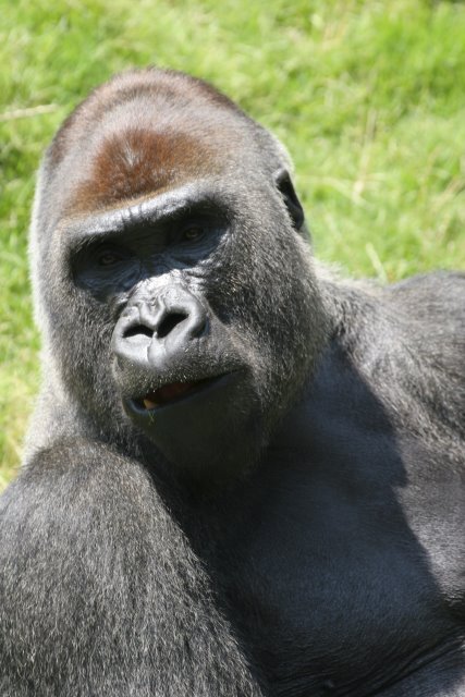 At Los Angeles Zoo
(Click on the picture for the full-size version)