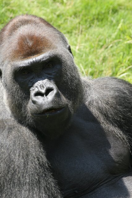 At Los Angeles Zoo
(Click on the picture for the full-size version)