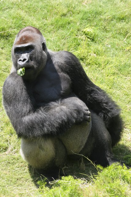 At Los Angeles Zoo
(Click on the picture for the full-size version)