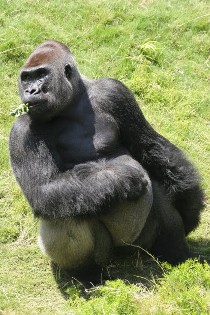 At Los Angeles Zoo
(Click on the picture for the full-size version)