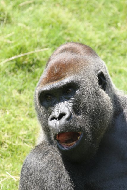 At Los Angeles Zoo
(Click on the picture for the full-size version)