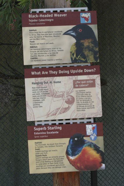 At Los Angeles Zoo
(Click on the picture for the full-size version)