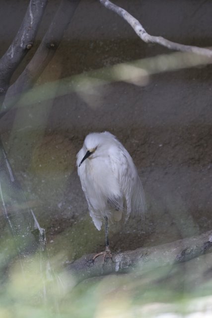 At Los Angeles Zoo
(Click on the picture for the full-size version)