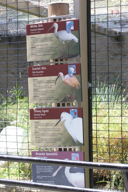 At Los Angeles Zoo
(Click on the picture for the full-size version)